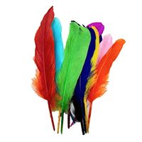 SÜDOR KUŞ TÜYÜ RENKLİ 12 Lİ SS25 1