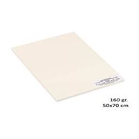 ALEX SCHOELLER RESİM KAĞIDI ALX-0221 50x70 160 GR. 100 LÜ 1