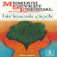BİLGİ BİR KUCAK ÇİÇEK 1