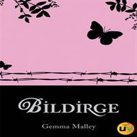 DELIDOLU BİLDİRGE 1