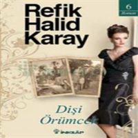 İNKİLAP ROMAN DİŞİ ÖRÜMCEK 1