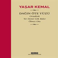 YAPI KREDİ ROMAN DAĞIN ÖTE YÜZÜ-1: ORTADİREK 1