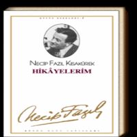 BÜYÜK DOĞU ROMAN HİKAYELERİM 1