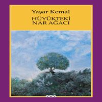 YAPI KREDİ ROMAN HÜYÜKTEKI NAR AĞACI 1