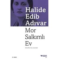 CAN MOR SALKIMLI EV 1