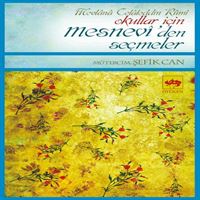 ÖTÜKEN ROMAN MESNEVİDEN SEÇMELER OKULLAR İÇİN 1