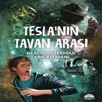 MARTI ROMAN TESLANIN TAVAN ARASI 1