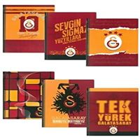 GALATASARAY DEFTER SPİRALLİ A4 PP KAPAK 80 YP ÇİZGİLİ 12 Lİ 463625 1