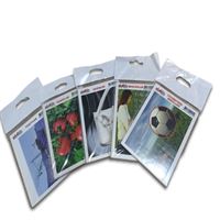 PLATIN STİCKER KARIŞIK 16 LI 8,5x12 1