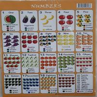 ODAK TABLO 08288 İNGİLİZCE SAYILAR A4 10 LU 1