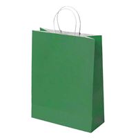 UZAY HEDİYE ÇANTASI KARTON KRAFT YEŞİL 18x24 25'Lİ 1