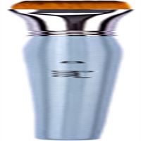 BRONS YAĞLI BOYA FIRÇASI KISA SAP 200F SERİSİ NO:8 BR-2154 1