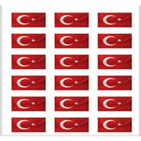 SVN COLOR ÇIKARTMA BAYRAK 11x25 UZUN 20 Lİ 1