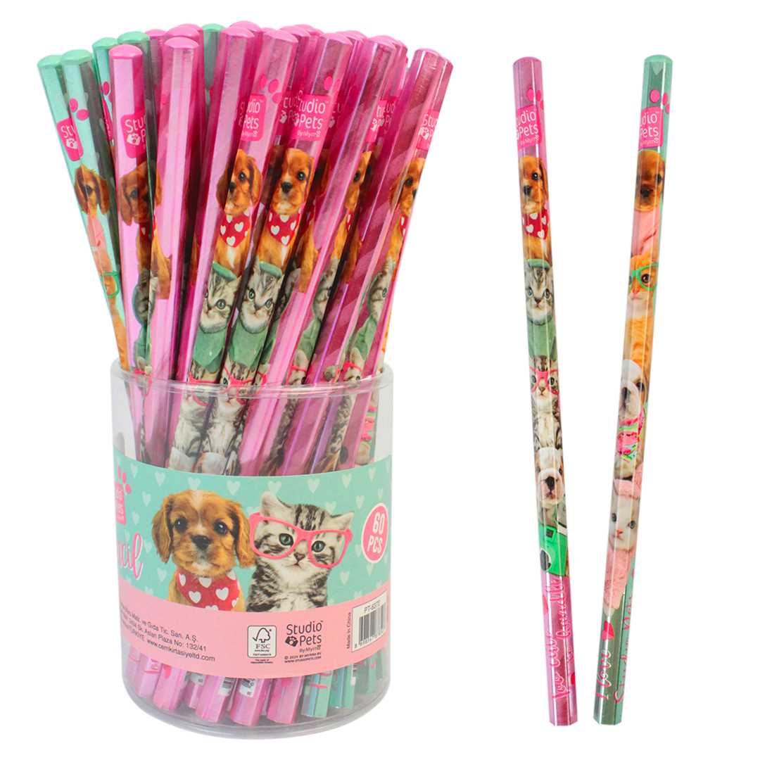 STUDİO PETS KURŞUN KALEM PT-6372 60 LI 1