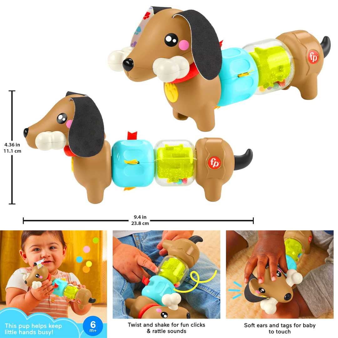 FİSHER PRİCE HTW91 KÖPEKÇİKLE EĞLENCELİ AKTİVİTELER 6M+ 1