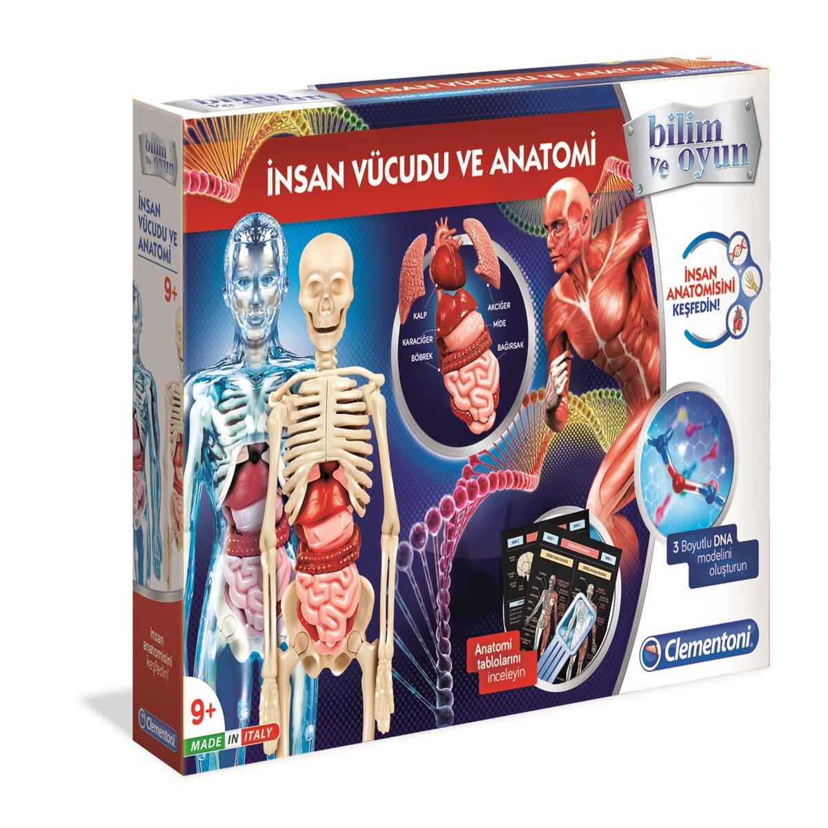 CLEMENTONİ OYUNCAK 64457 İNSAN VÜCUDU VE ANATOMİ 1
