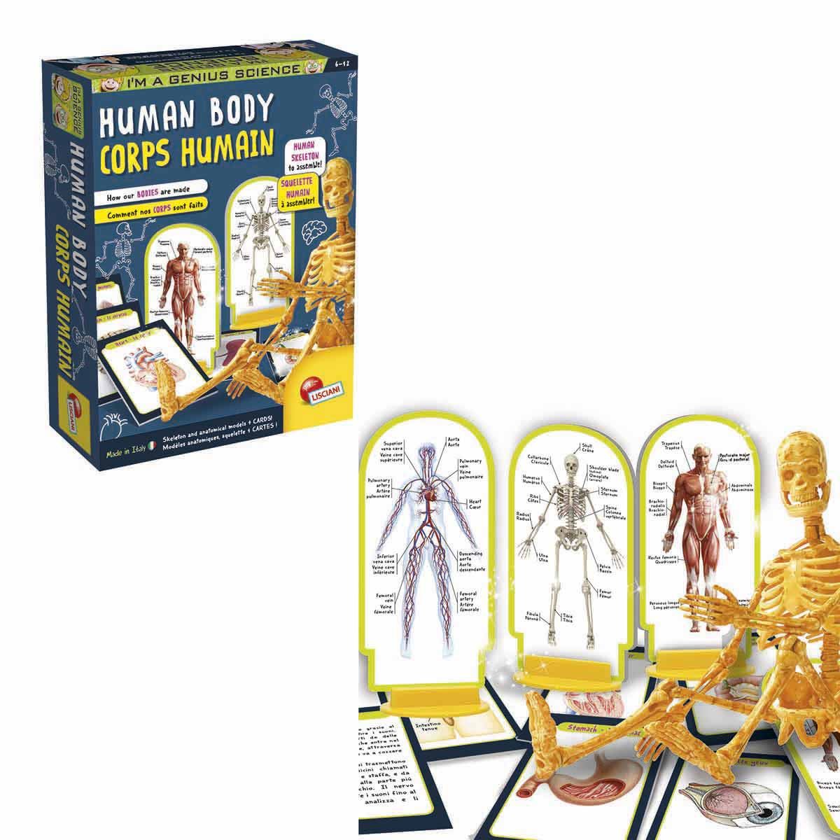 SUNMAN İNSAN VÜCUDU 48960 HUMAN BODY BİLİM SETİ 6+ 1