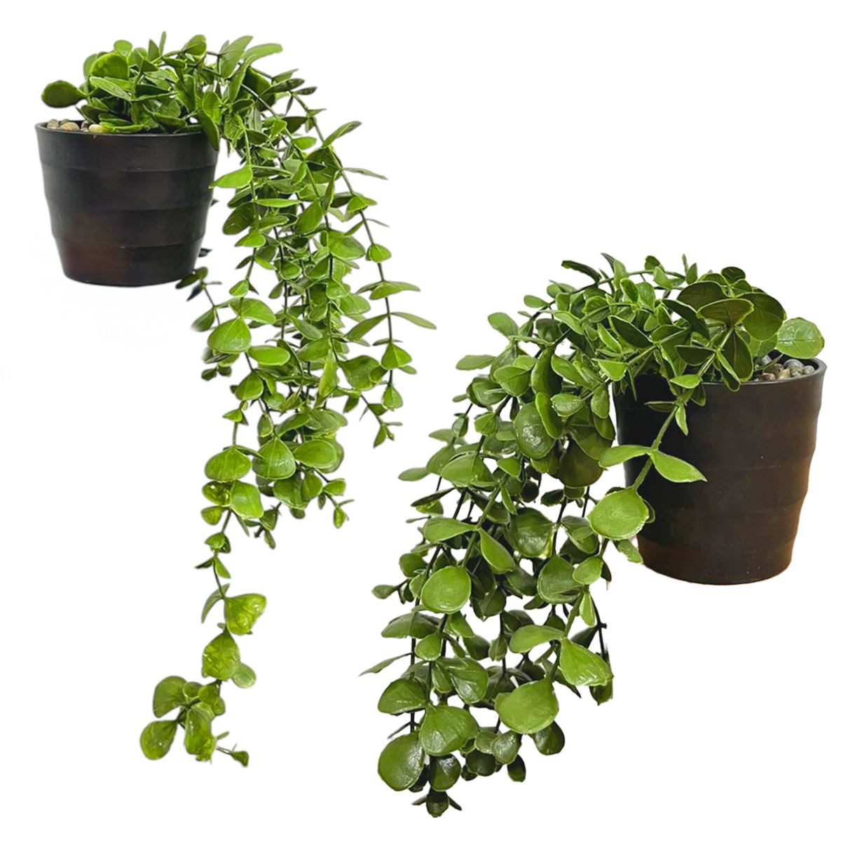 EVADEKOR YAPAY ÇİÇEK OKALİPTUS 5810 SİYAH SAKSI 1