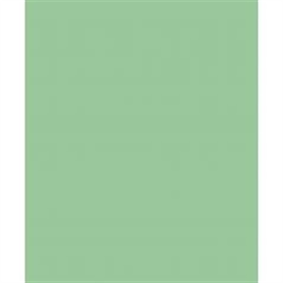 PUTİ FON KARTONU 50x70 FISTIK YEŞİL 160 GR 100 LÜ 2076 1