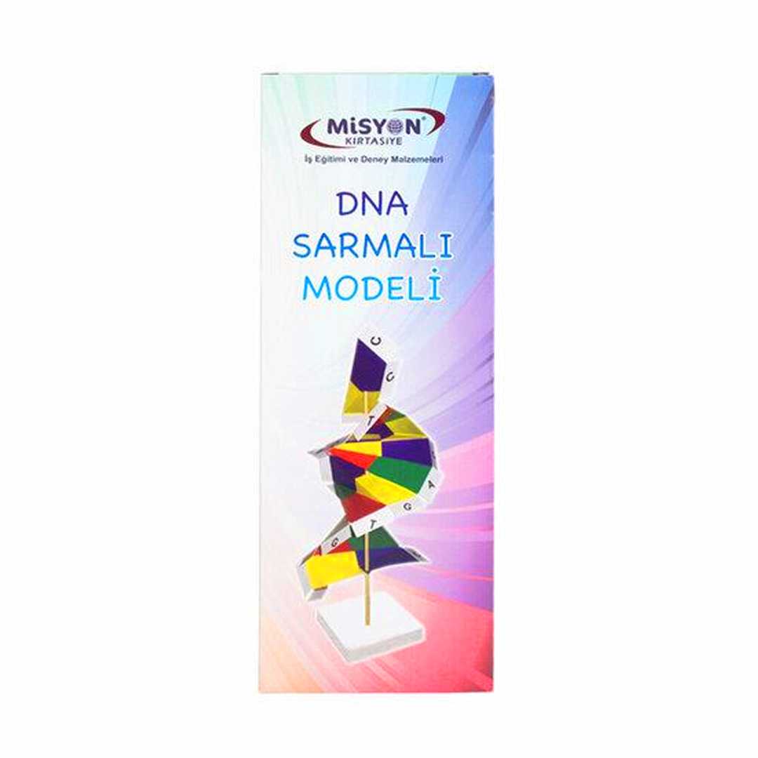 MİSYON DNA SARMALI MODELİ ST08003 1