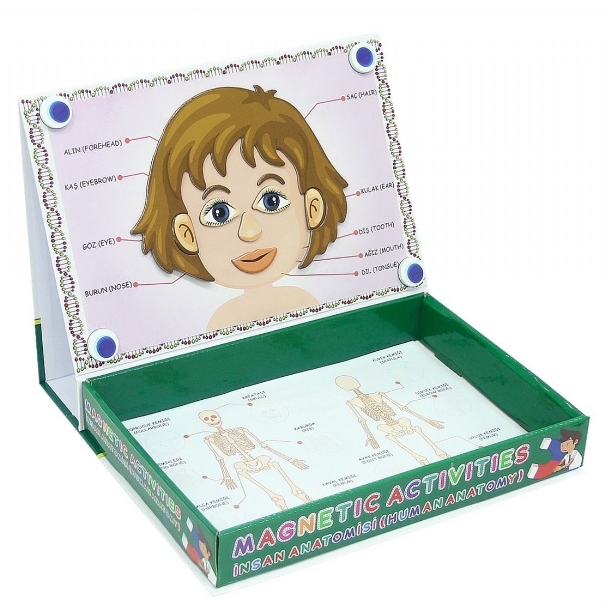 LAÇO LC7171 MAGNETİC İNSAN ANATOMİSİ 58 PARÇA 1