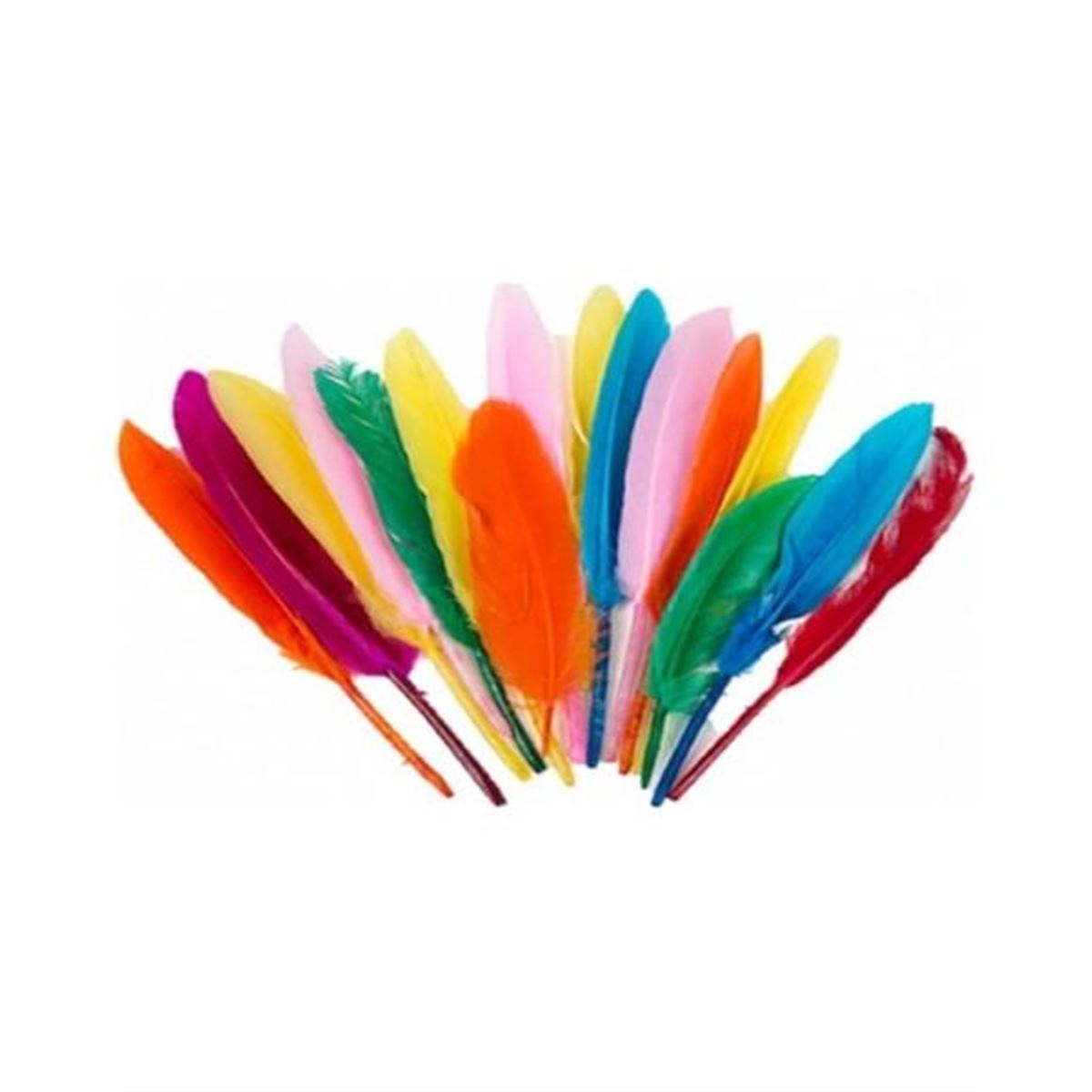 PUTİ KUŞ TÜYÜ KARIŞIK RENKLİ 10 LU 24 PK 4742 1