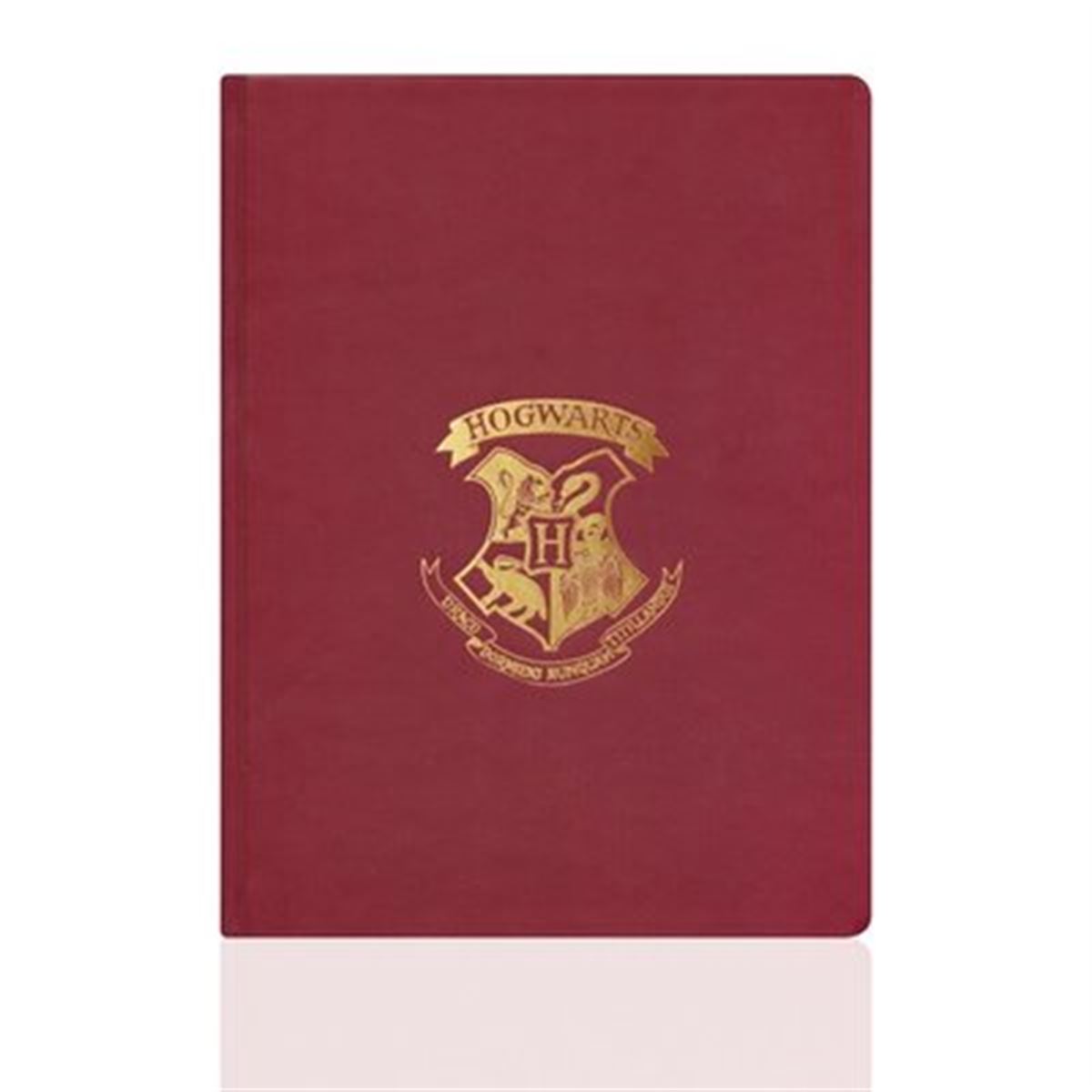 MABBELS HAFTALIK AJANDA HOGWARTS 1