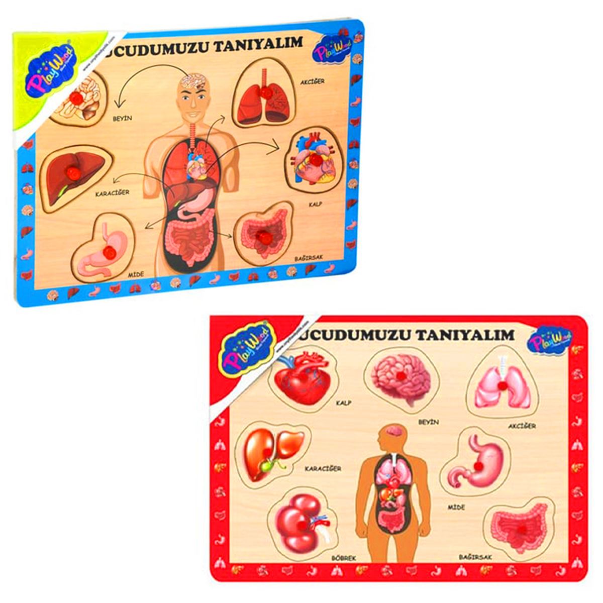 PLAY WOOD AHŞAP TUTMALI YAPBOZ ONY-287-288 VÜCUDUMUZU TANIYALIM 18M+ 1