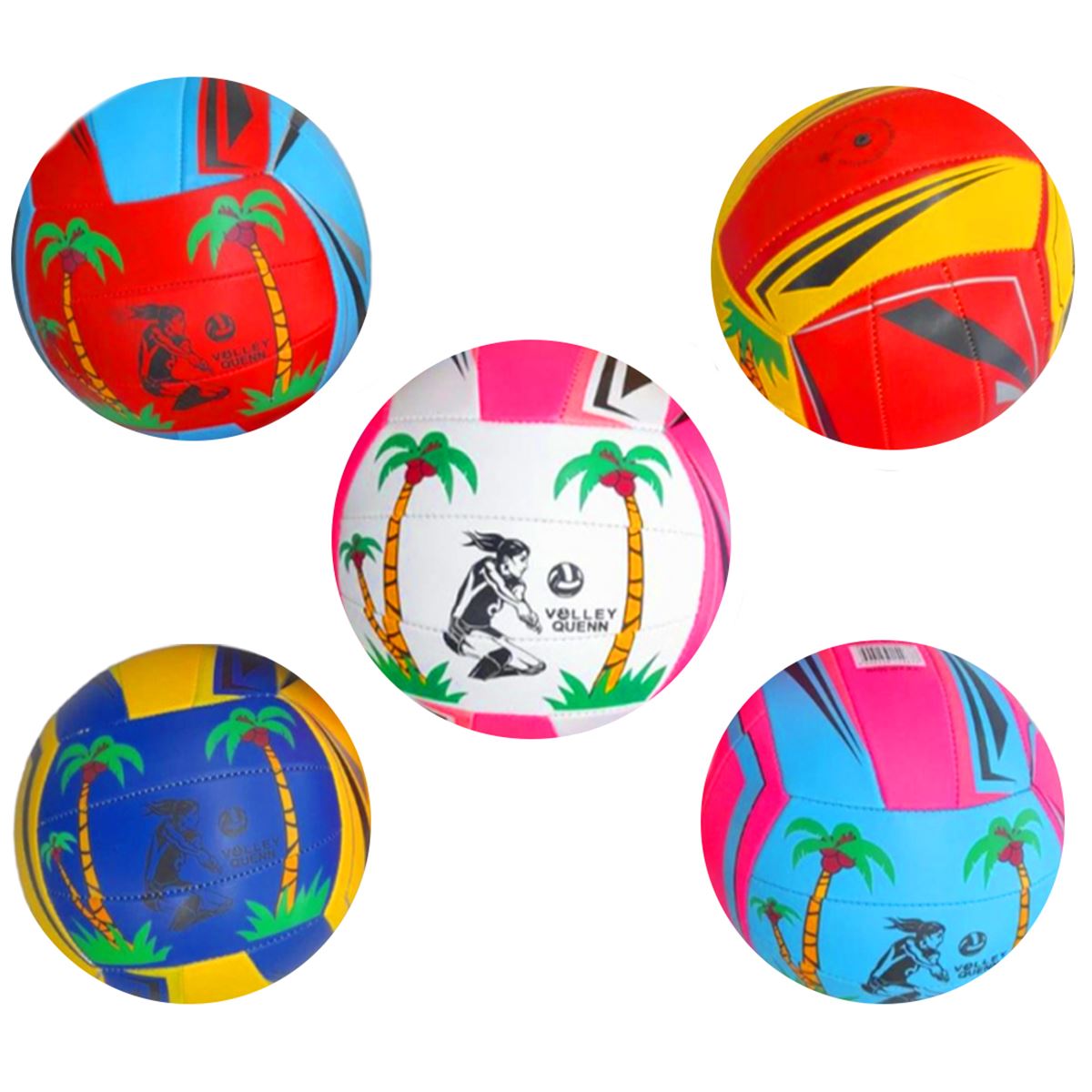 CAN SPORT VOLEYBOL TOPU BSV-444 1