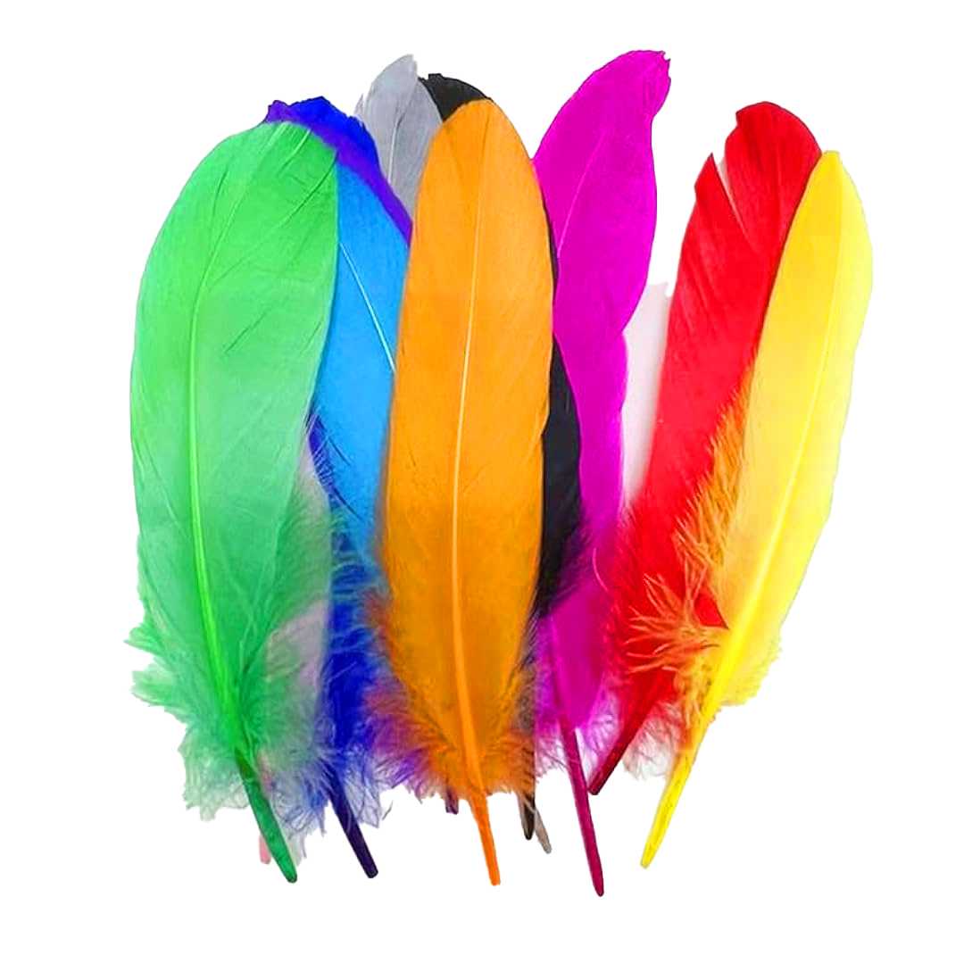 KİDDY KUŞ TÜYÜ 12 Lİ 01163 1