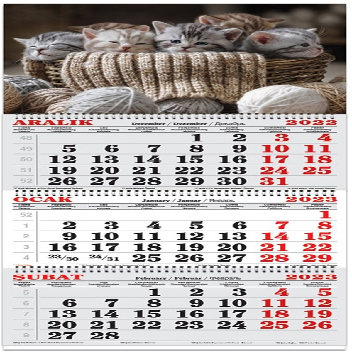 KESKİN DENİZCİ TAKVİMİ 2023 840424 SPİRALLİ JUMBO KEDİLER 3 AYLIK 1