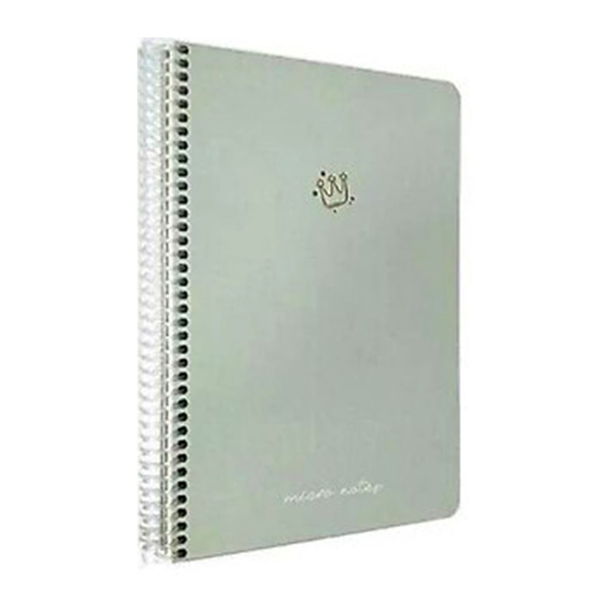 GIPTA MİCRO NOTES DEFTER 17x24 SPİRALLİ SERT KAPAK 100 YP DÜZ 6455 1