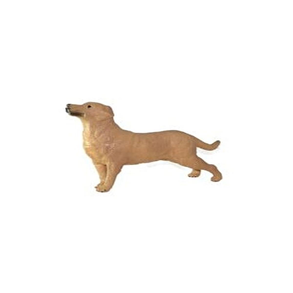 ASYA KÖPEKLER E014 1