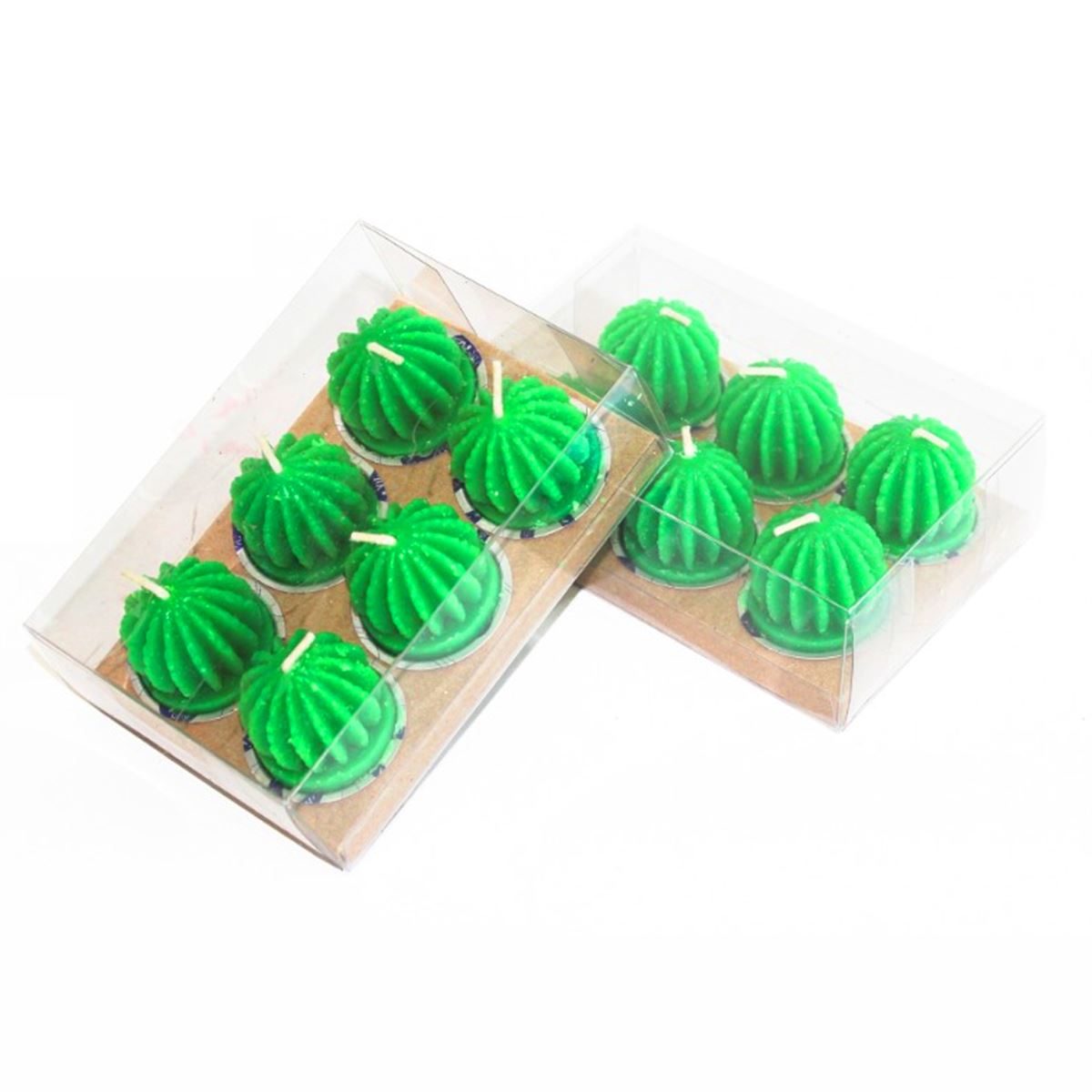 NUR MUM X-655 TOMBUL KAKTÜS 6 LI 1