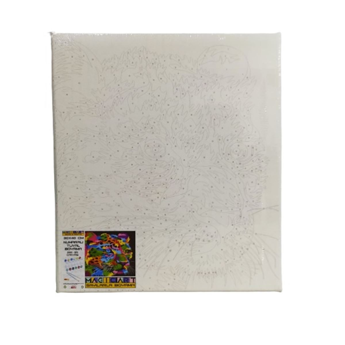 MAGİC ART TUVAL SAYILARLA BOYAMA SETİ 30X40 280 GR 2842SBT 1