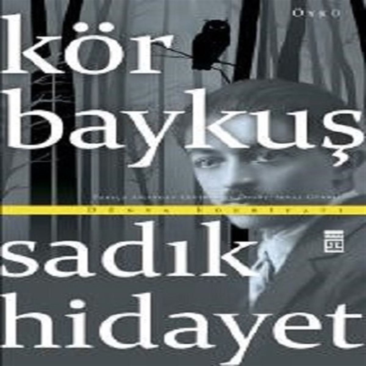 TİMAŞ ROMAN KÖR BAYKUŞ 1