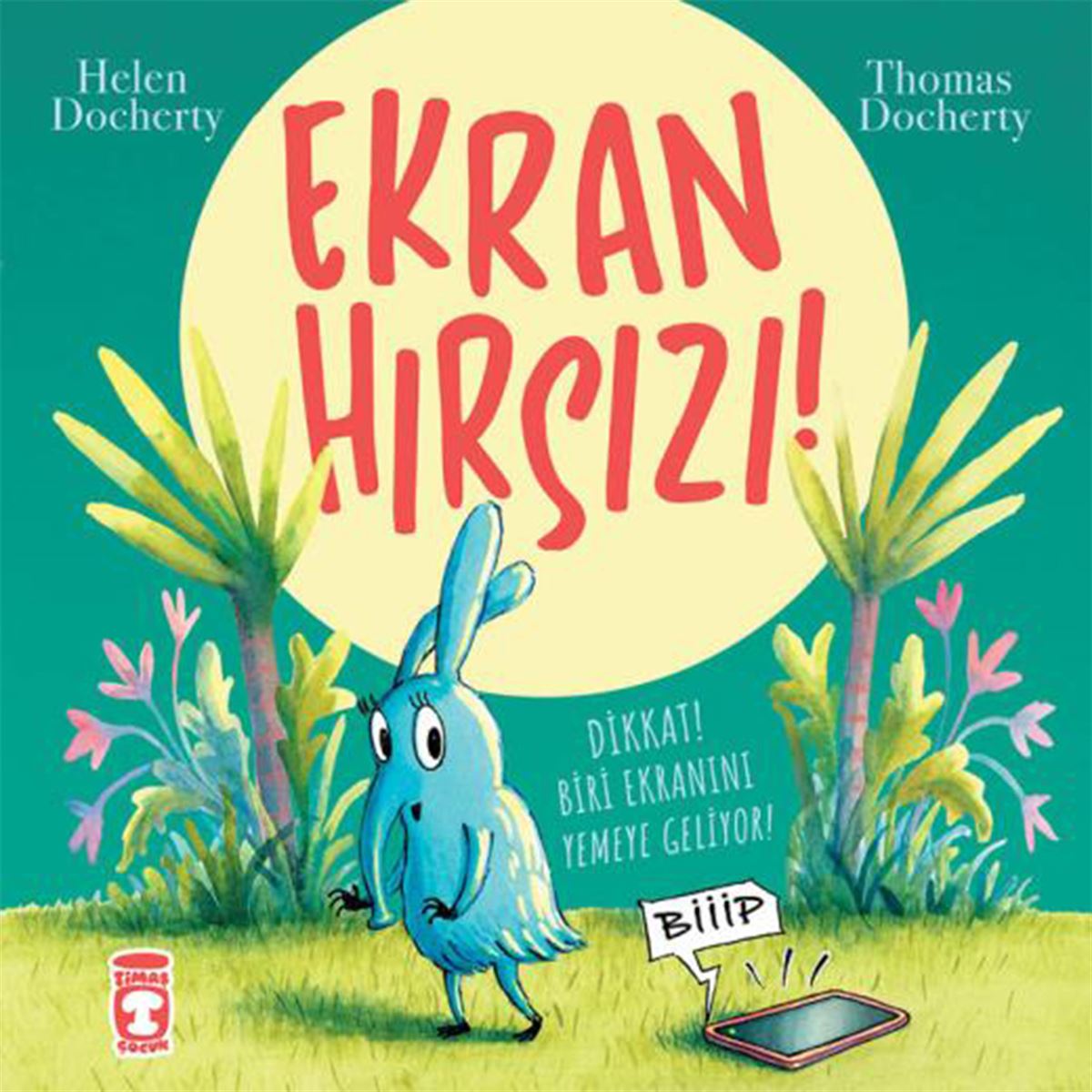 TİMAŞ EKRAN HIRSIZI 1