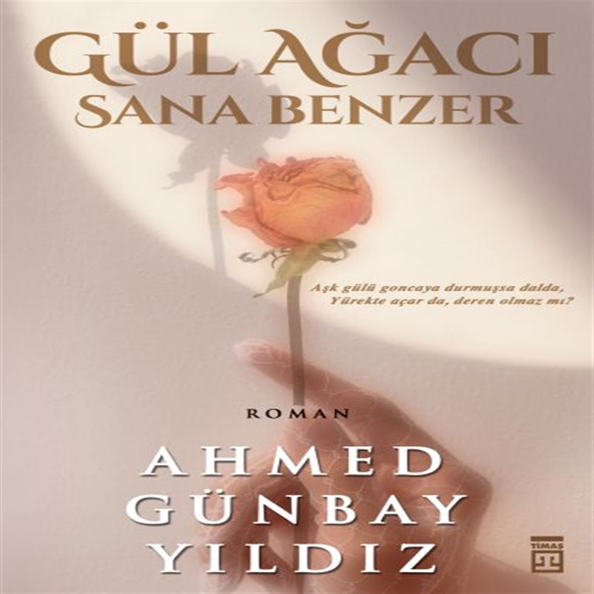TİMAŞ GÜL AĞACI SANA BENZER 1