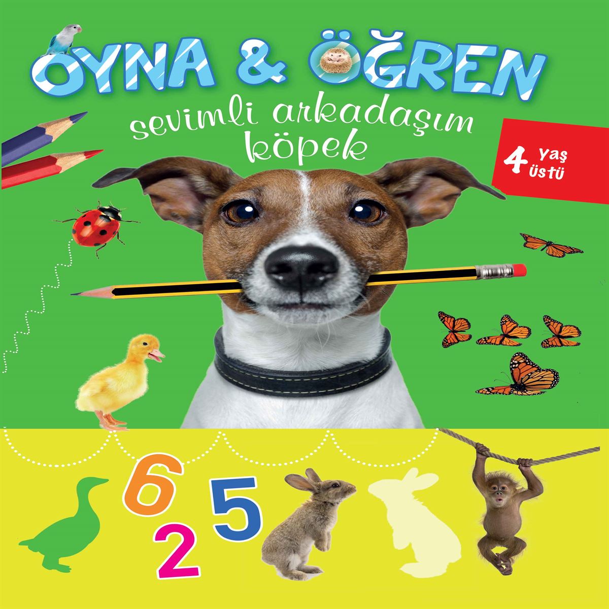 PARILTI OYNA ÖĞREN SEVİMLİ ARKADAŞIM KÖPEK 4+ YAŞ 1