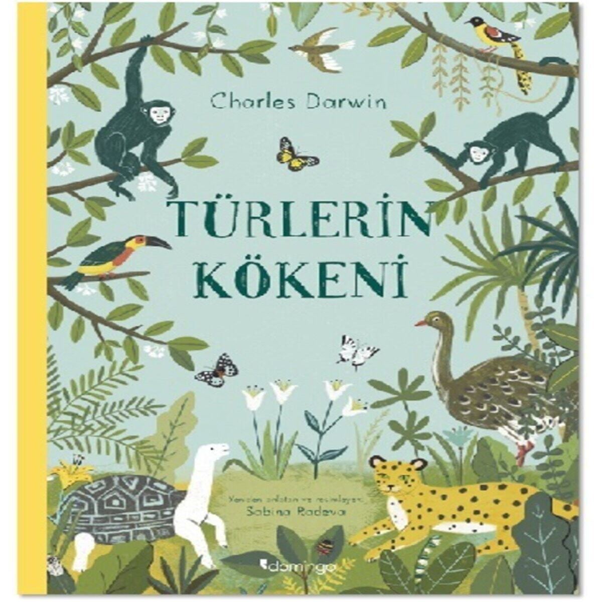DOMİNGO TÜRLERIN KÖKENİ 1