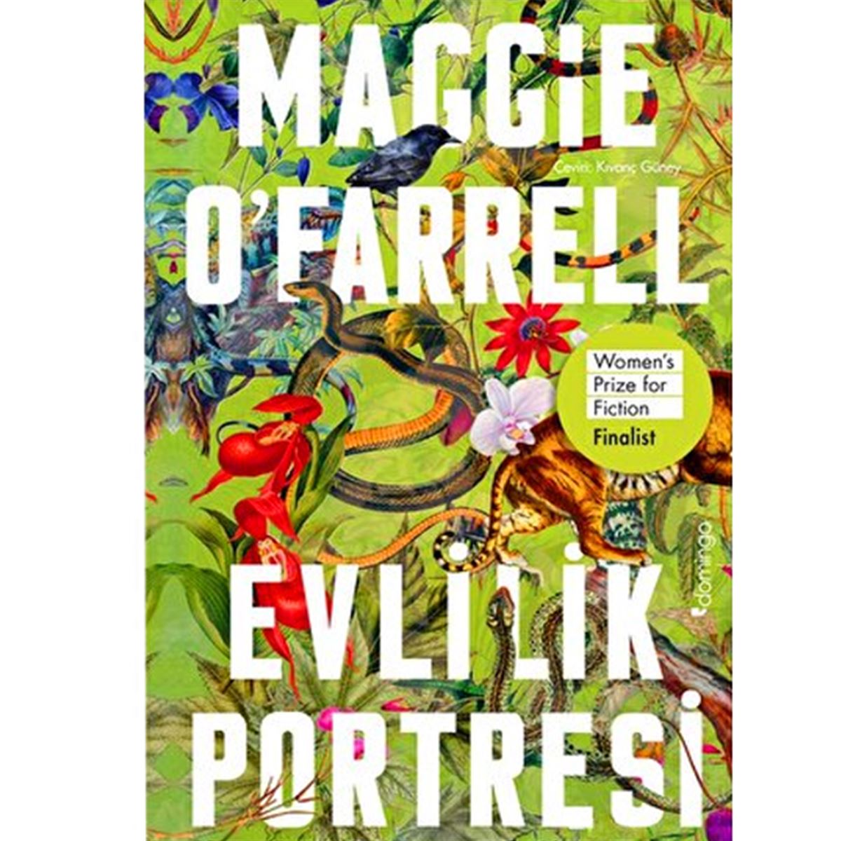 DOMİNGO EVLİLİK PORTRESİ 1