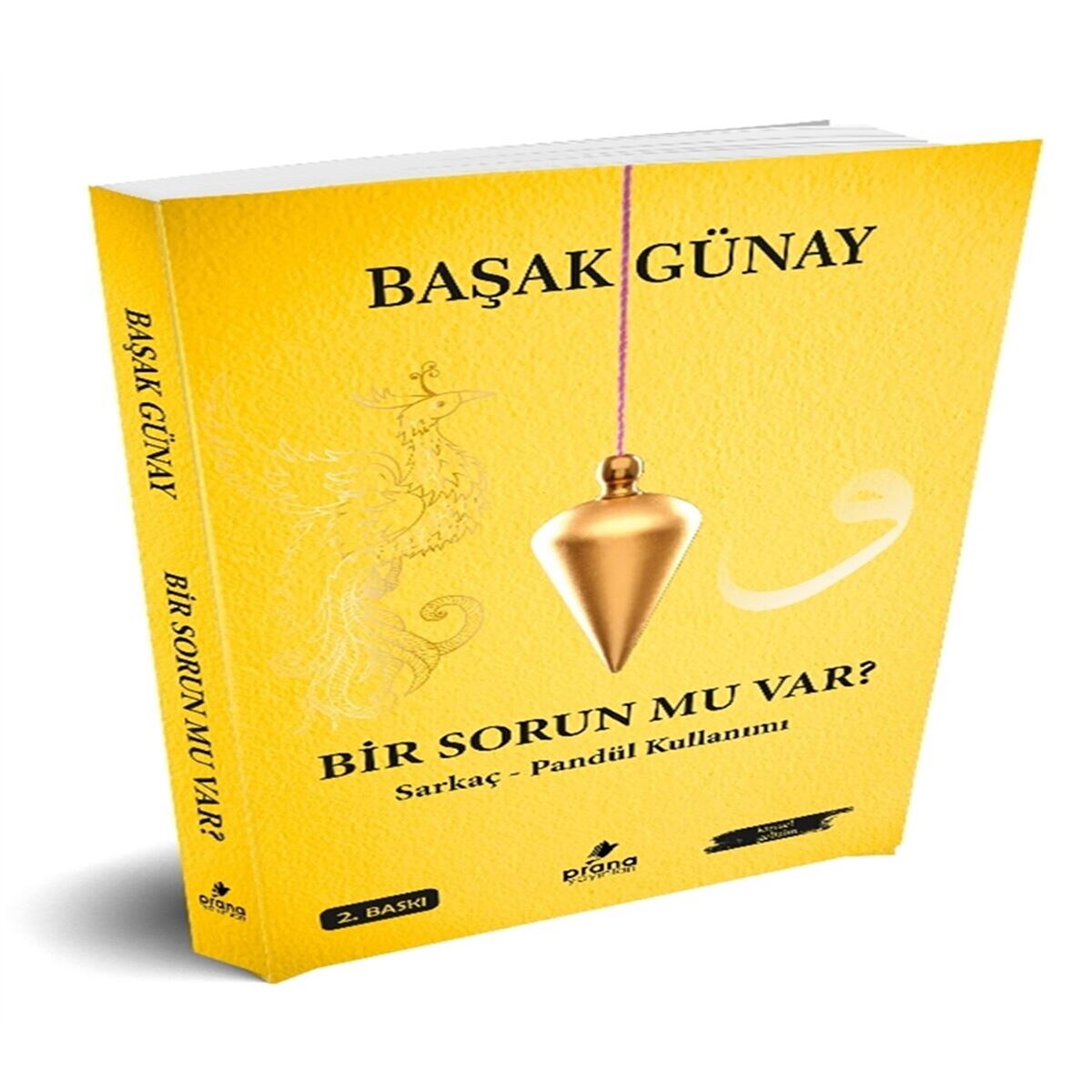 PRANA BİR SORUN MU VAR 1