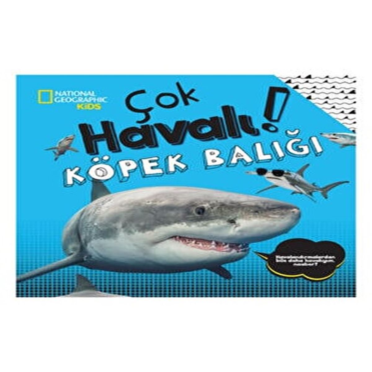 BETA KİDS EĞİTİM NATİONAL GEOGRAPHİC ÇOK HAVALI KÖPEK BALIĞI 1