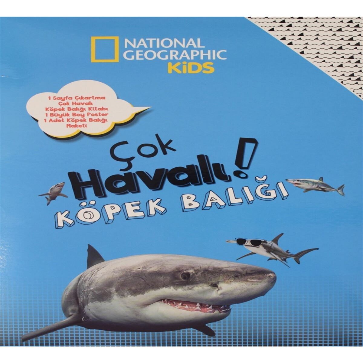 BETA AKTİVİTE KİTABI ÇOK HAVALI KÖPEK BALIĞI 1