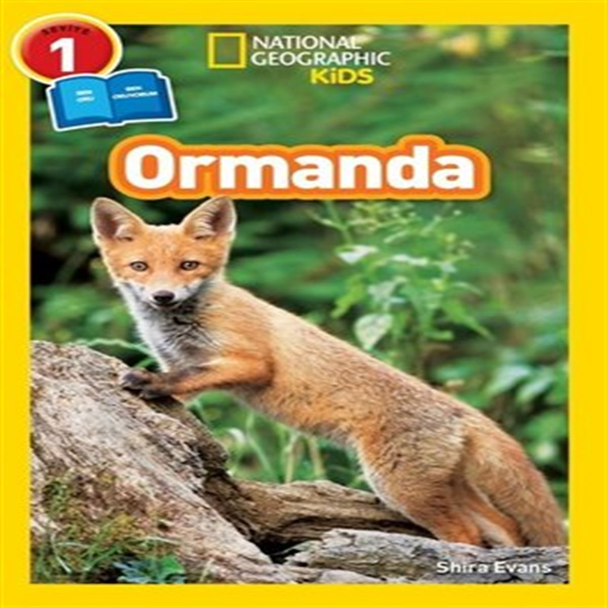 BETA KİDS NATİONAL GEOGRAPHİC ORMANDA  SEVİYE 1 1