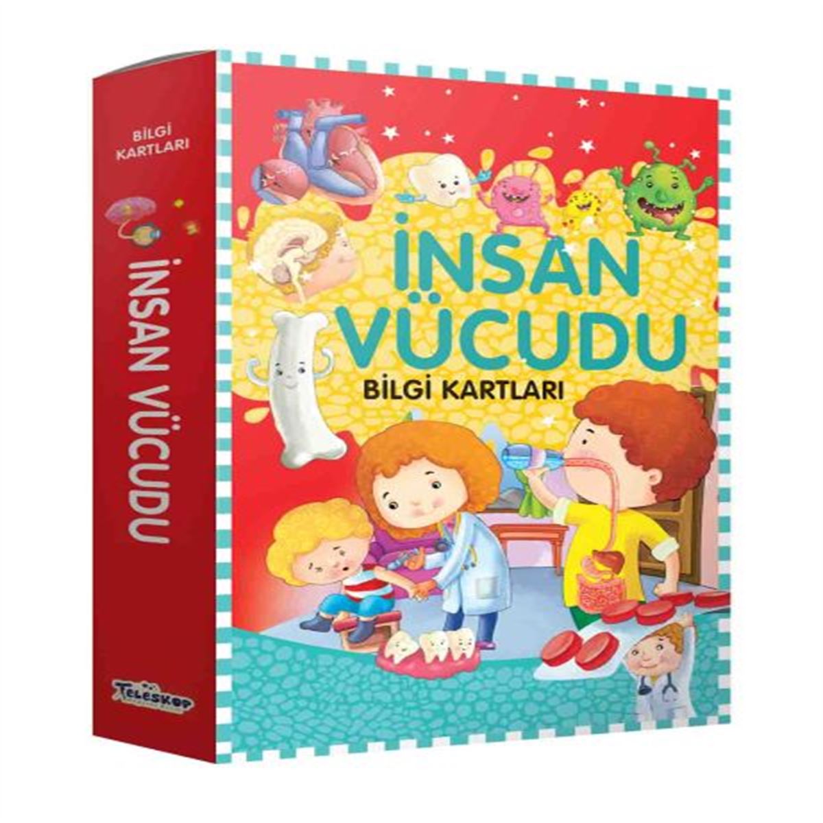 TELESKOP BİLGİ KARTLARI İNSAN VÜCUDU 1