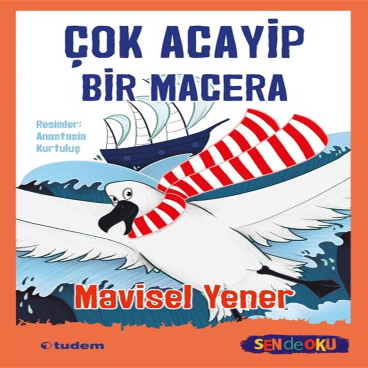 TUDEM ÇOK ACAYİP BİR MACERA 1