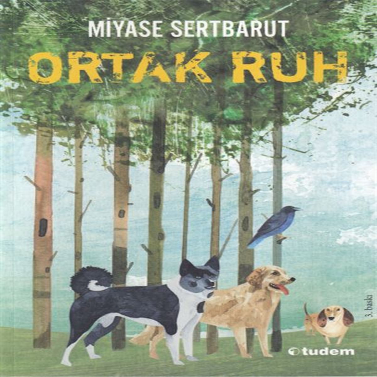 TUDEM ORTAK RUH İADESİZ 1