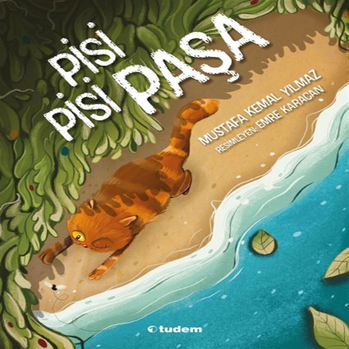 TUDEM HİKAYE PİSİ PİSİ PAŞA İADESİZ 1