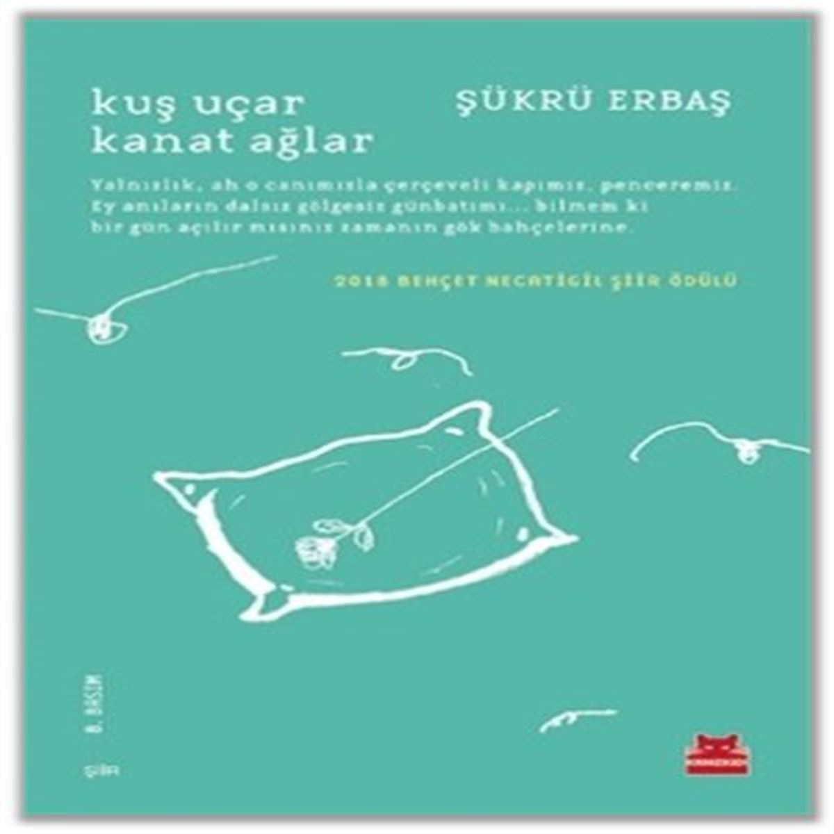 KIRMIZI KEDİ KUŞ UÇAR KANAT AĞLAR 1